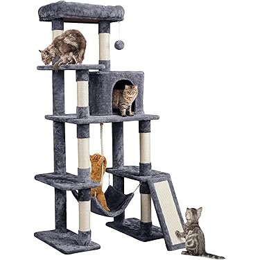 Kitty cats RULE! cover photo collage