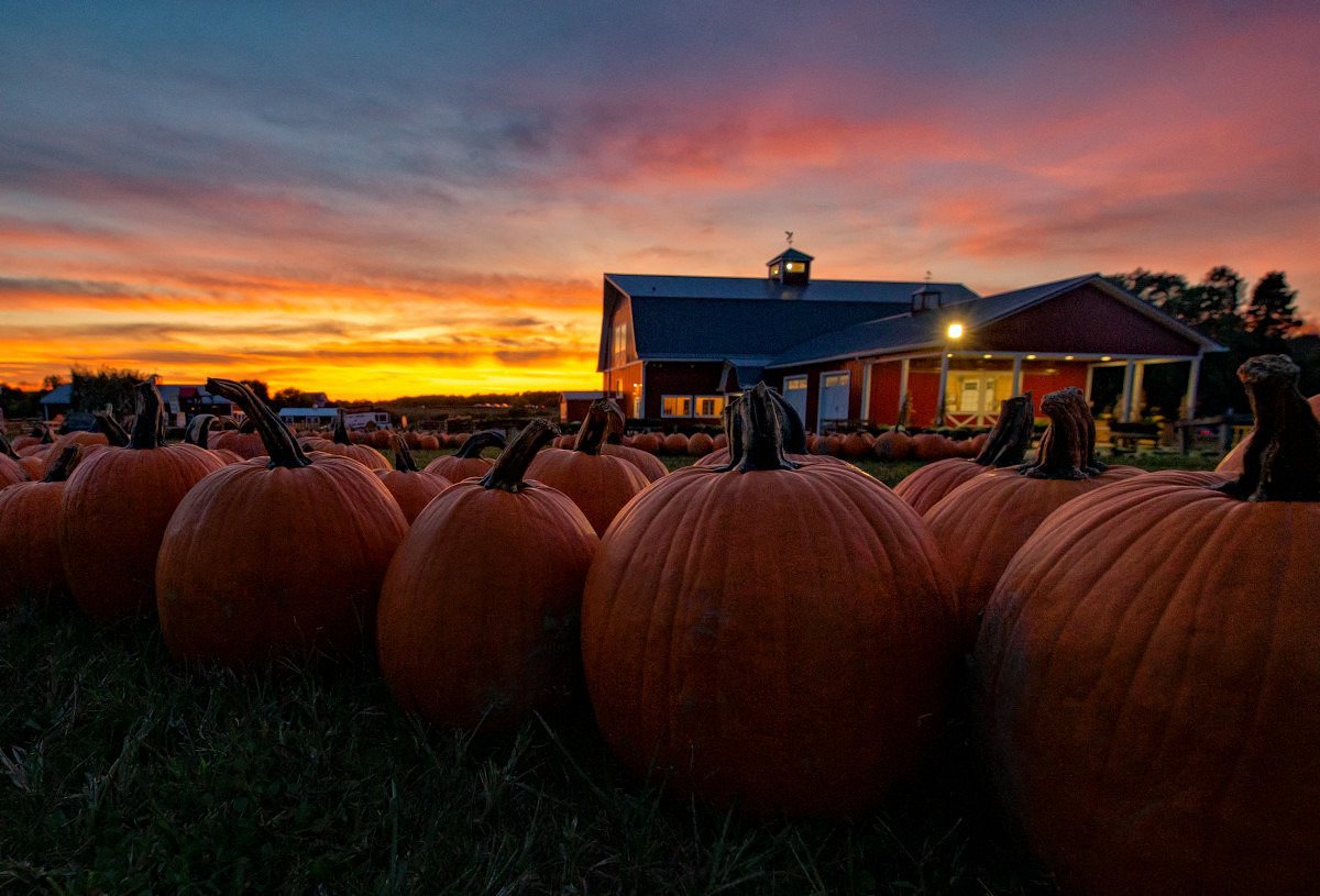 Fall Fun - Eastern Long Island and North Fork, LI cover photo collage