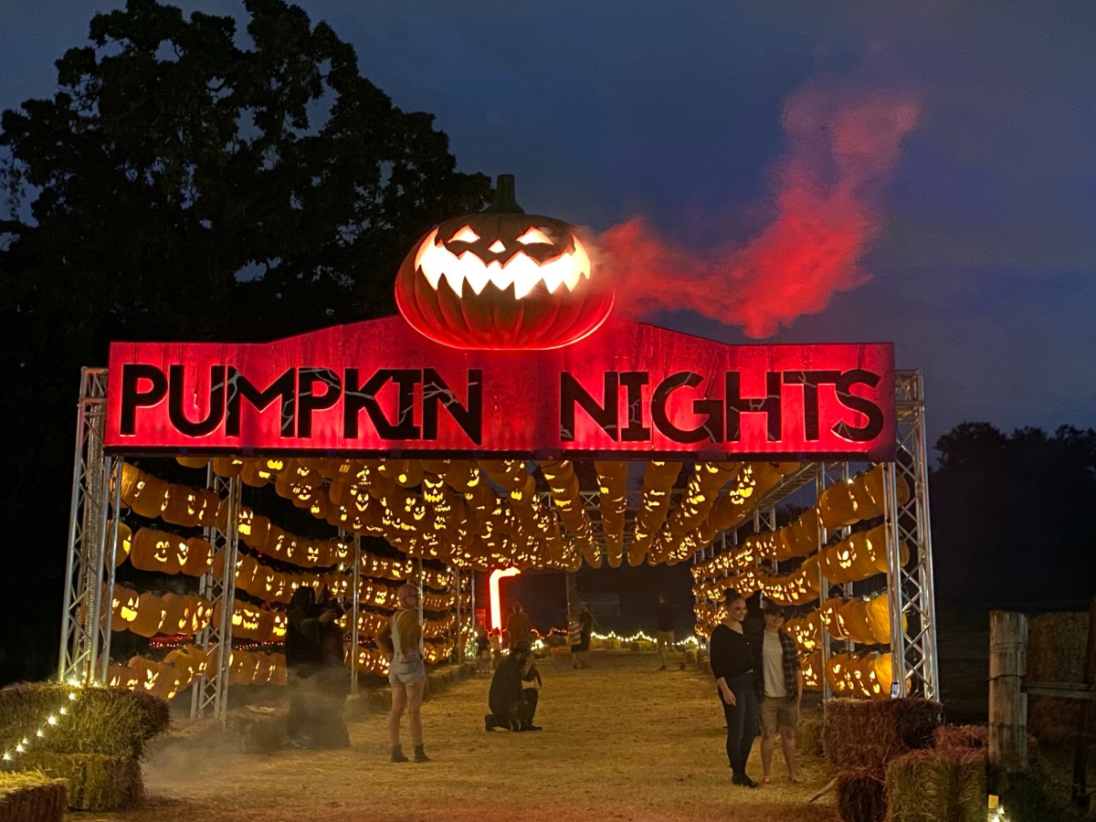 Spooky Season in Dallas! cover photo collage