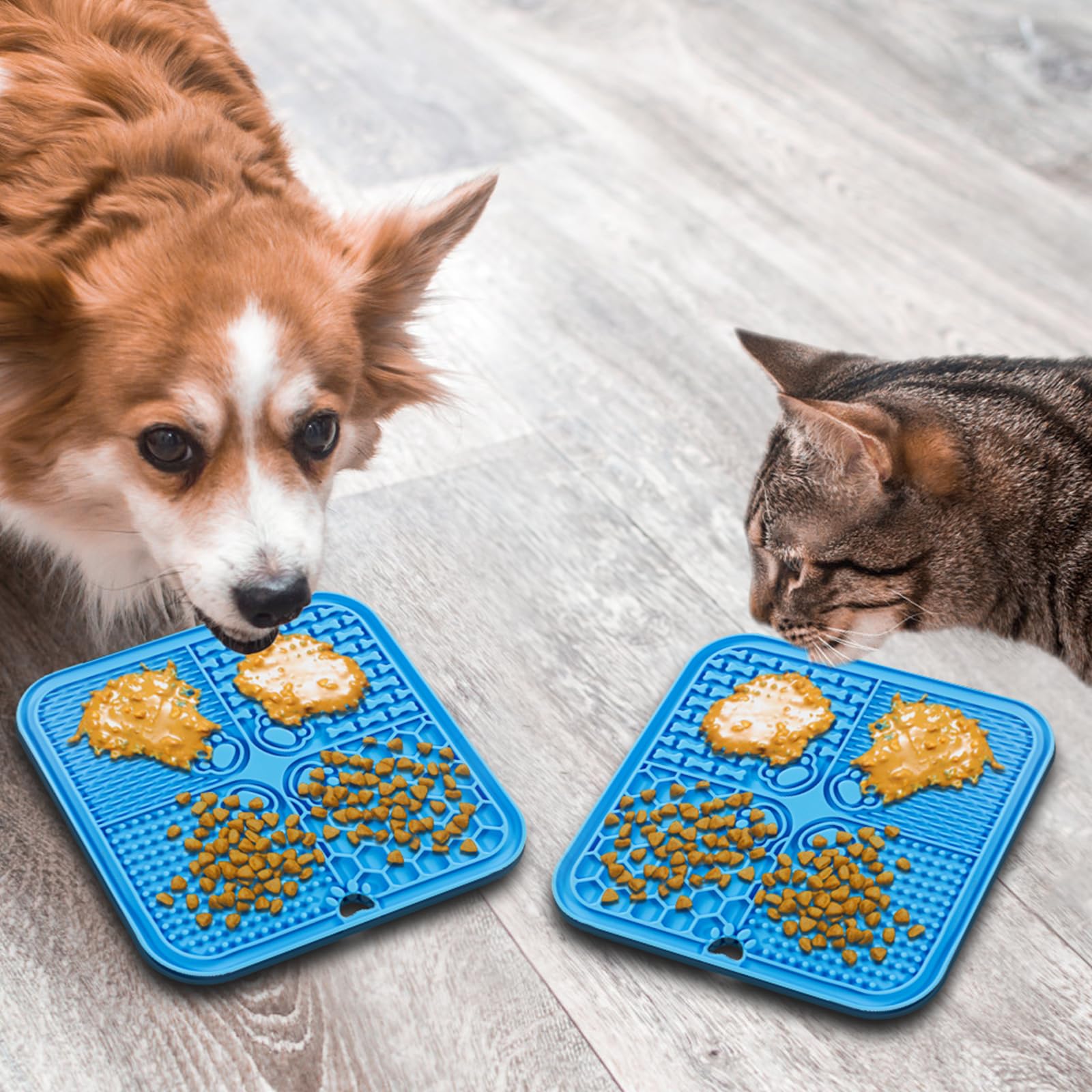 Dog Enrichment Toys cover photo collage