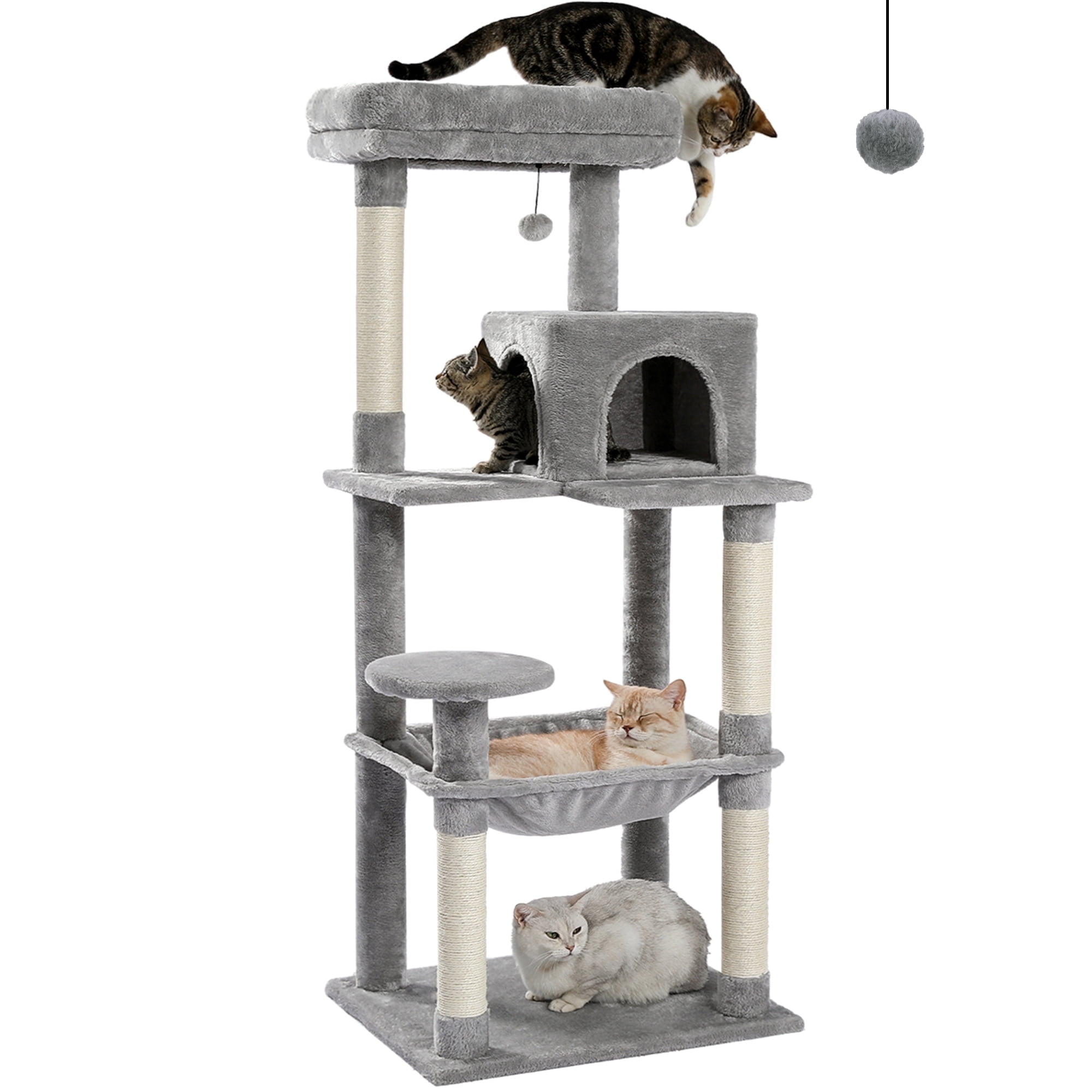 KuKu for Cats 🐈‍⬛ cover photo collage