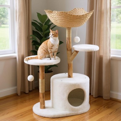 Meow Must-Haves cover photo collage
