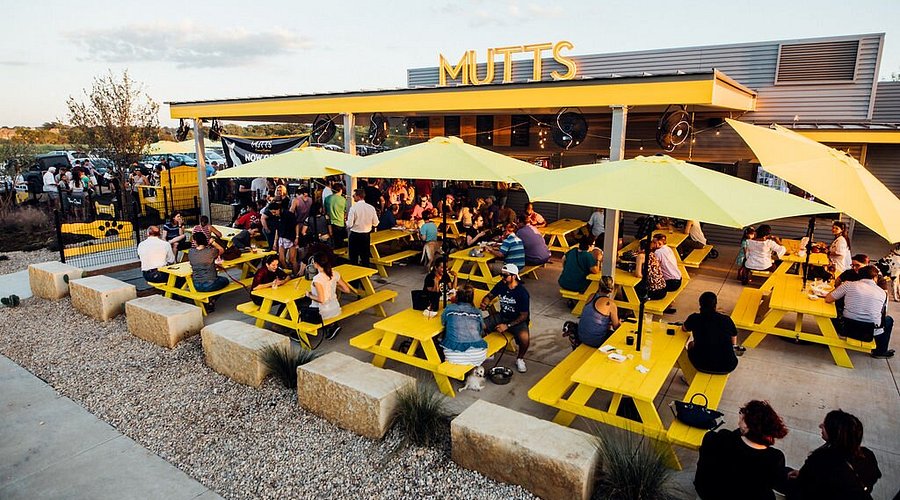 Adventures in Dallas Fort Worth cover photo collage