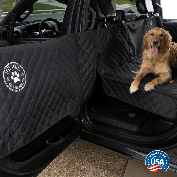 Dog Accessories & First Time Pup Favs ✨🐶 cover photo collage