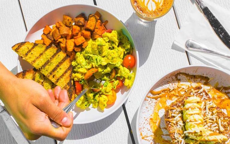 Yummy eats near USF cover photo collage