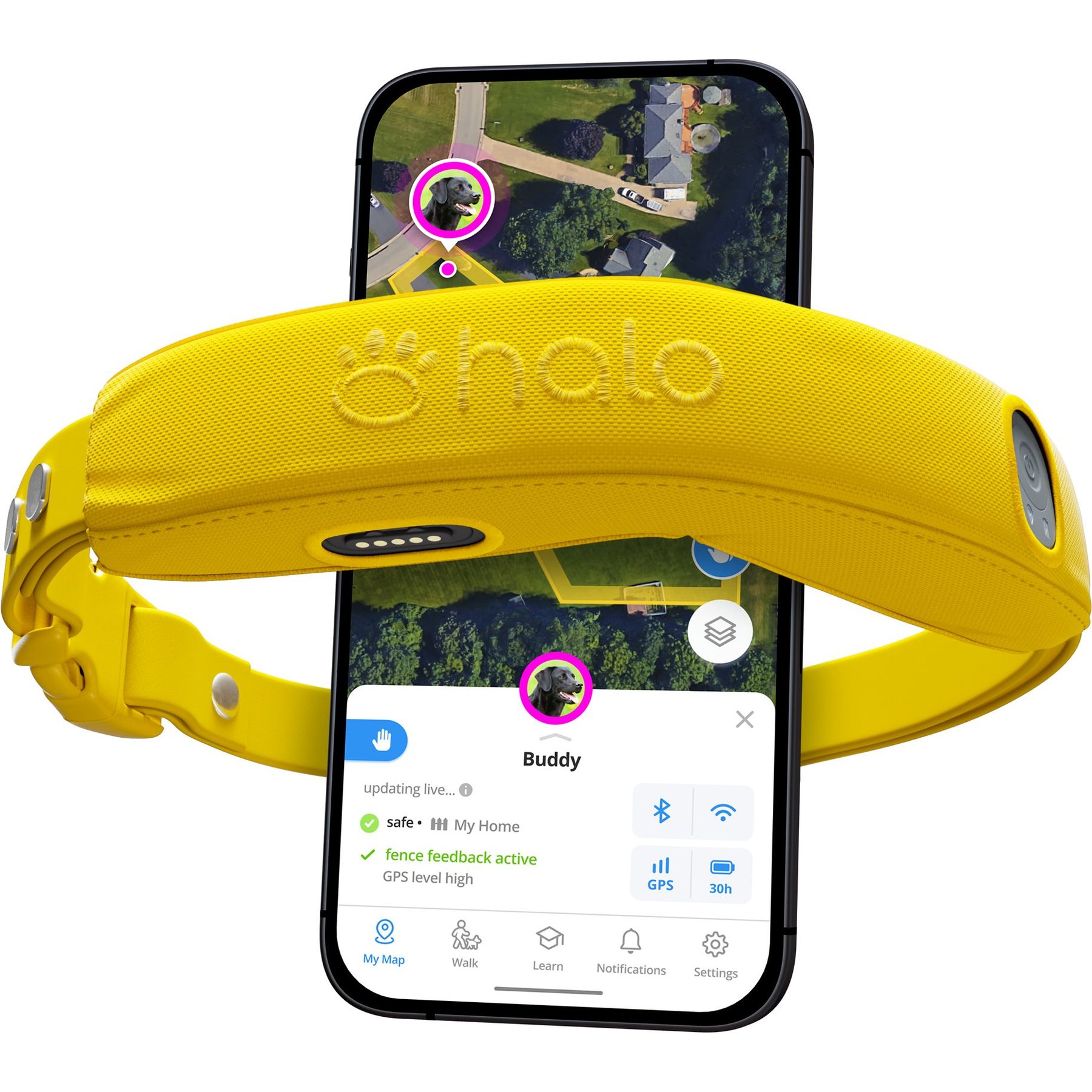 Senior Dog must haves cover photo collage