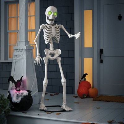 Time of Fright & Delight cover photo collage