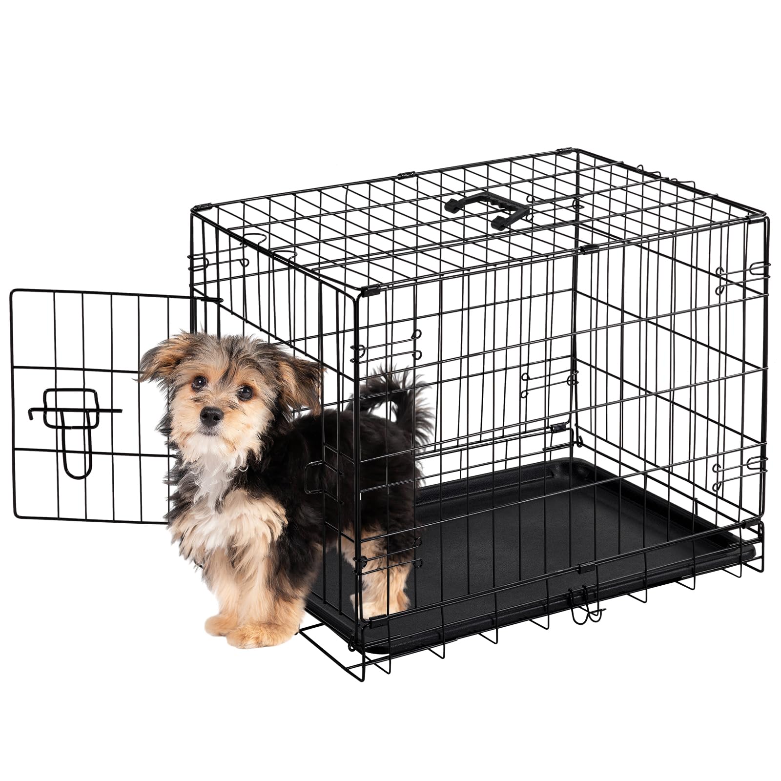 New Puppy Must Haves cover photo collage