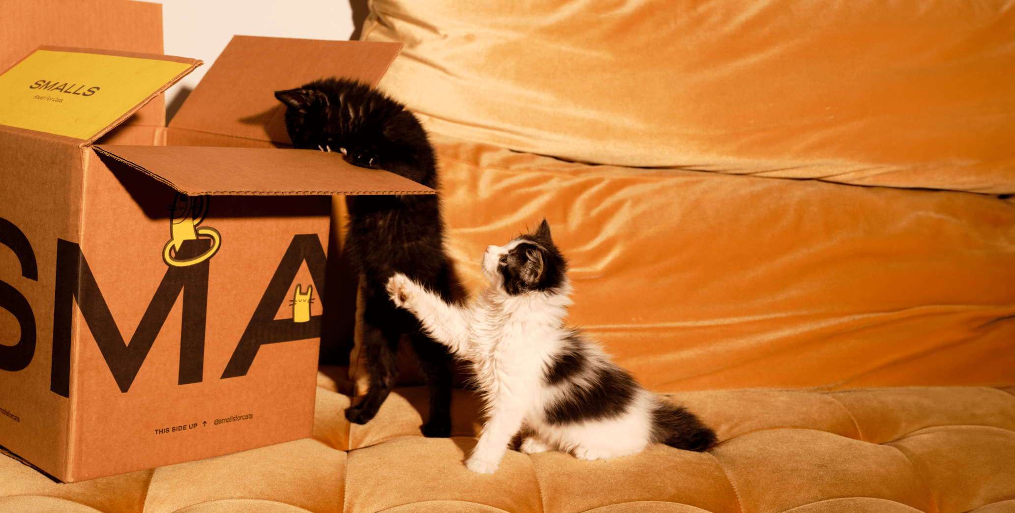 Cat Mom Recommendations cover photo collage