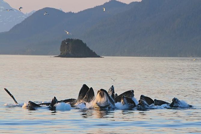 What to Pack for an Alaska Cruise with Kids (Princess Cruise Edition) cover photo collage