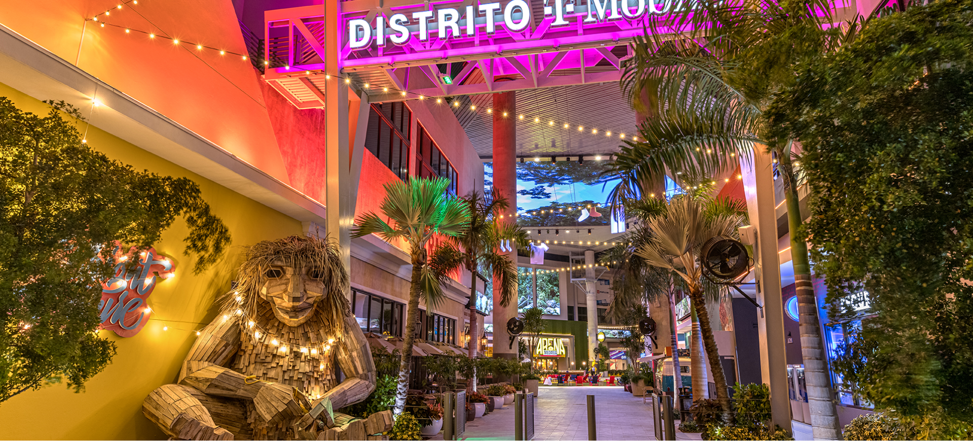 la isla del encanto / PfknR / el calentón cover photo collage