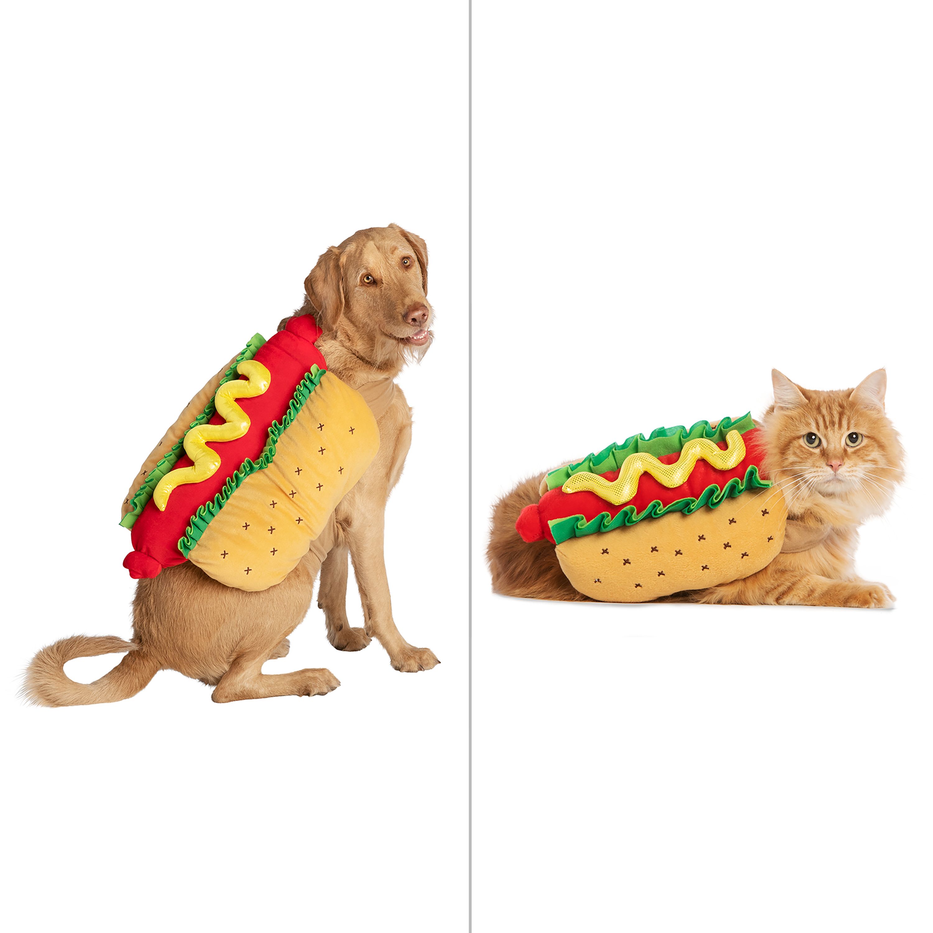 HOT DOG HALLOWEEN WISHLIST cover photo collage