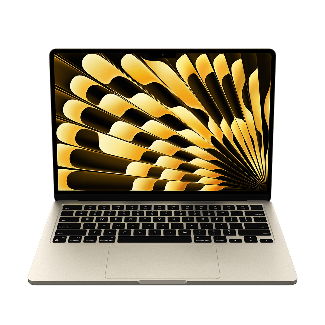 From Lecture Halls to Late Nights: University and College Essentials cover photo collage