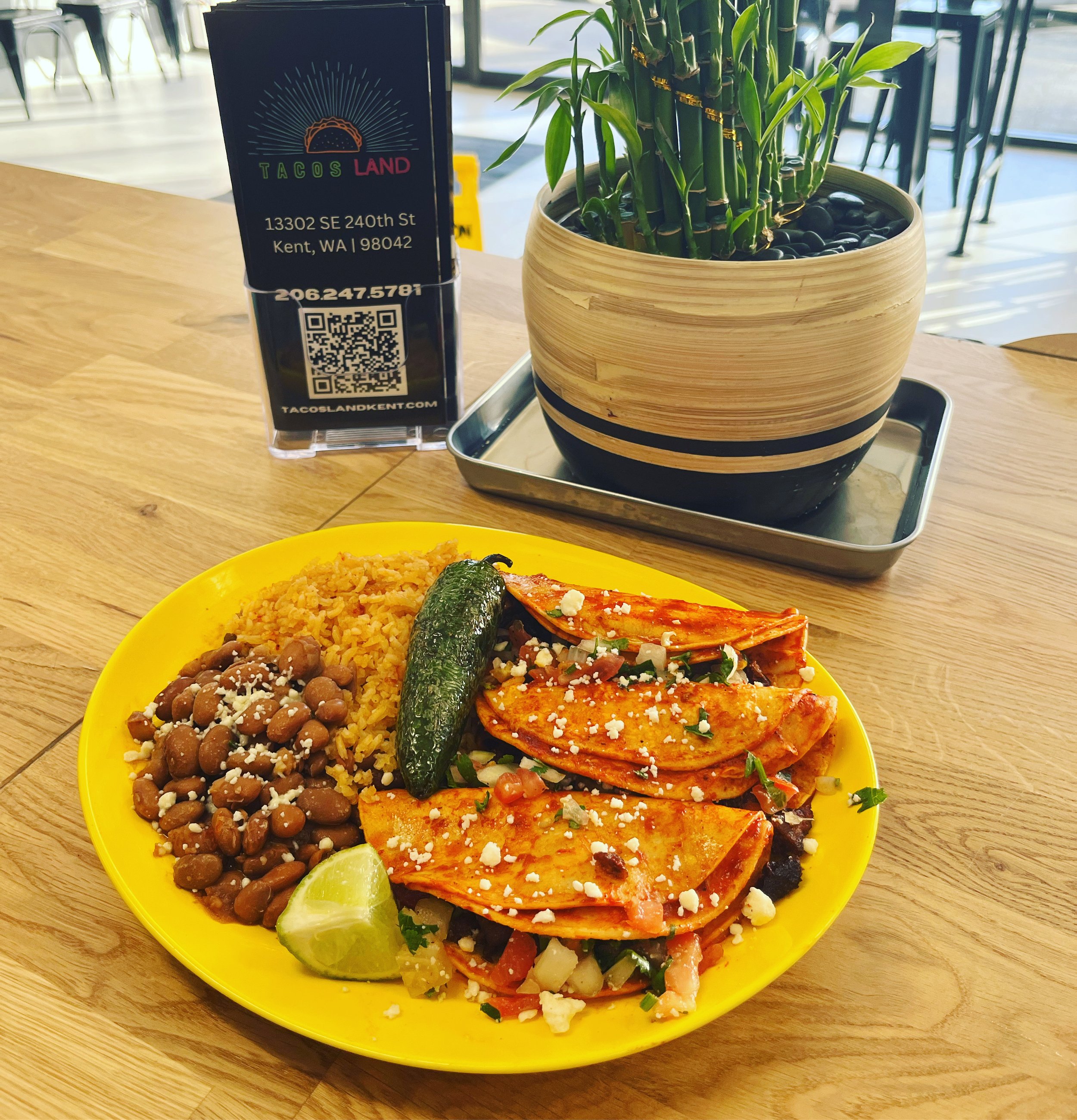 Things to Do in my Area cover photo collage