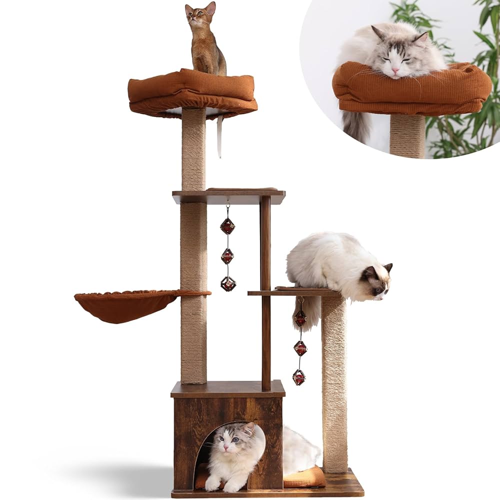 My Cat's Favorite Things cover photo collage