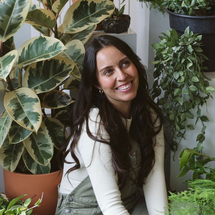 Rooted Wisdom: A Crazy Plant Lady’s Guide to Houseplants cover photo collage