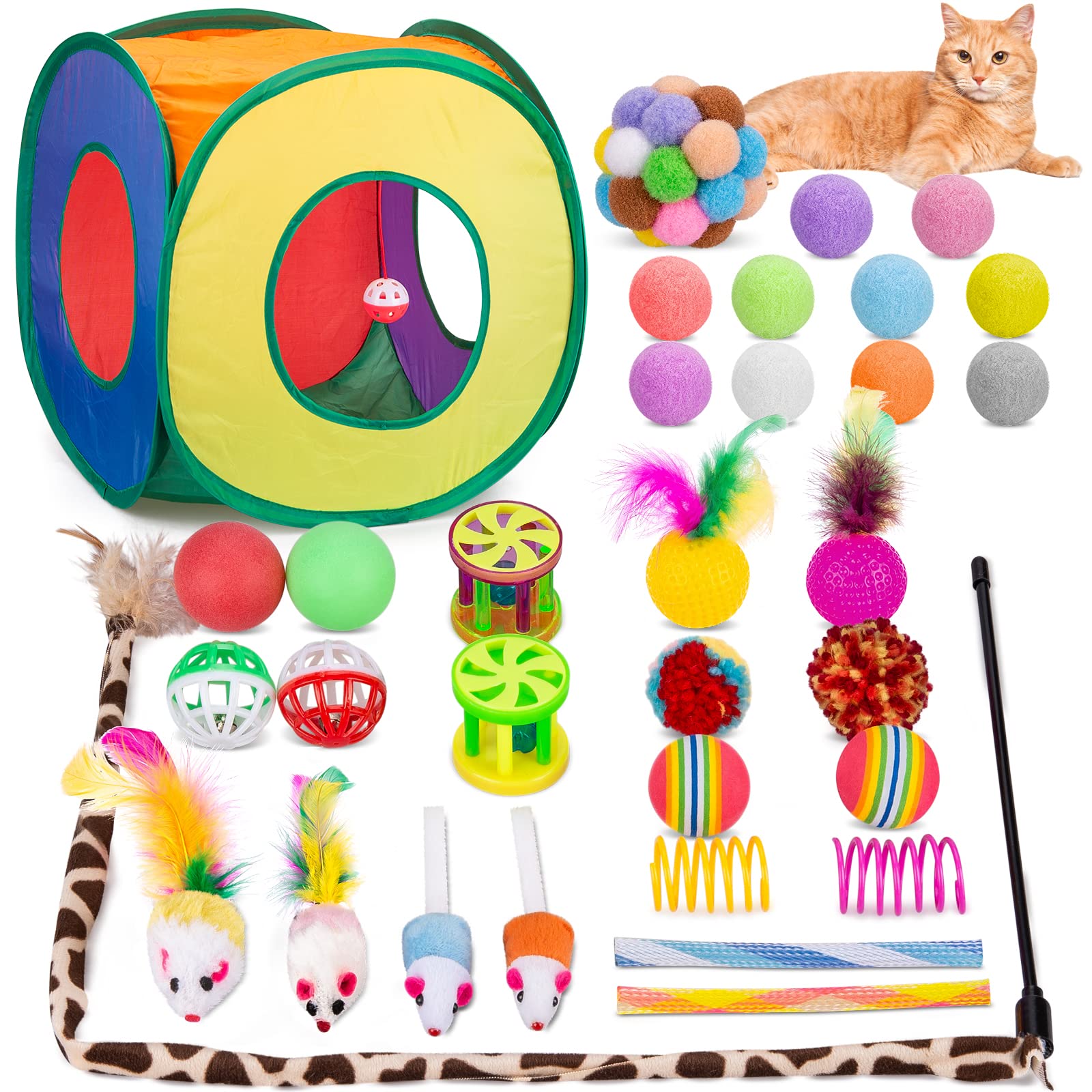 Kitten Starter Pack: The Must‐Haves Before You Bring Home Your Furball cover photo collage
