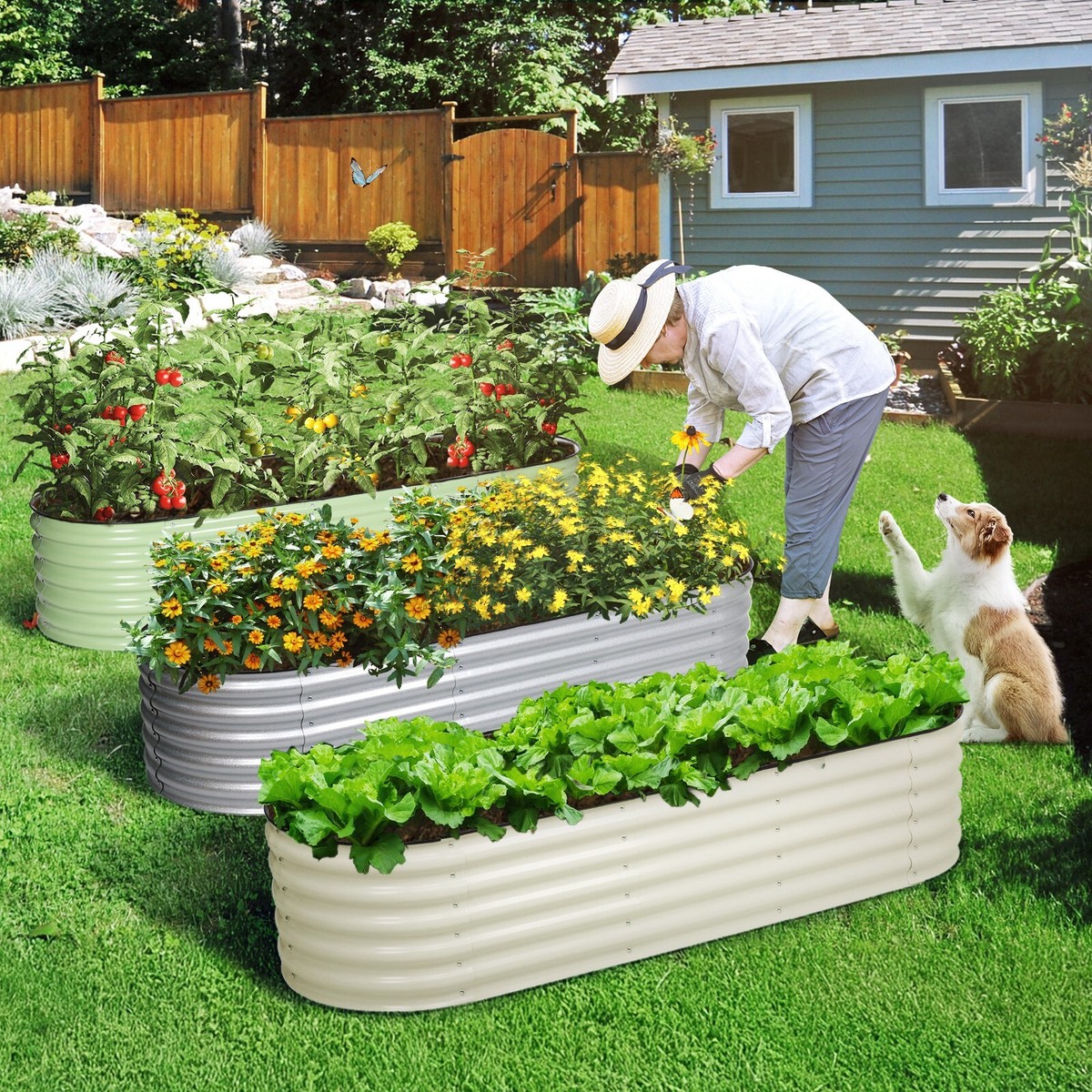 OMG Organic Gardening & Regenerative Ag cover photo collage