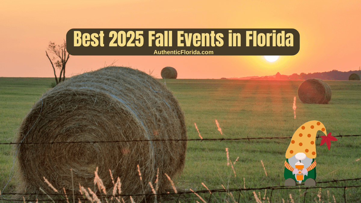 Florida Fall cover photo collage