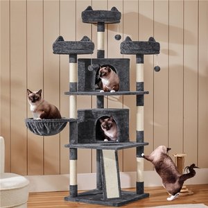 The Cat's Meow: Feline Favorites cover photo collage