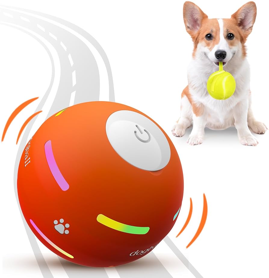 The Best Things to Get For Fur Baby (dog edition) cover photo collage