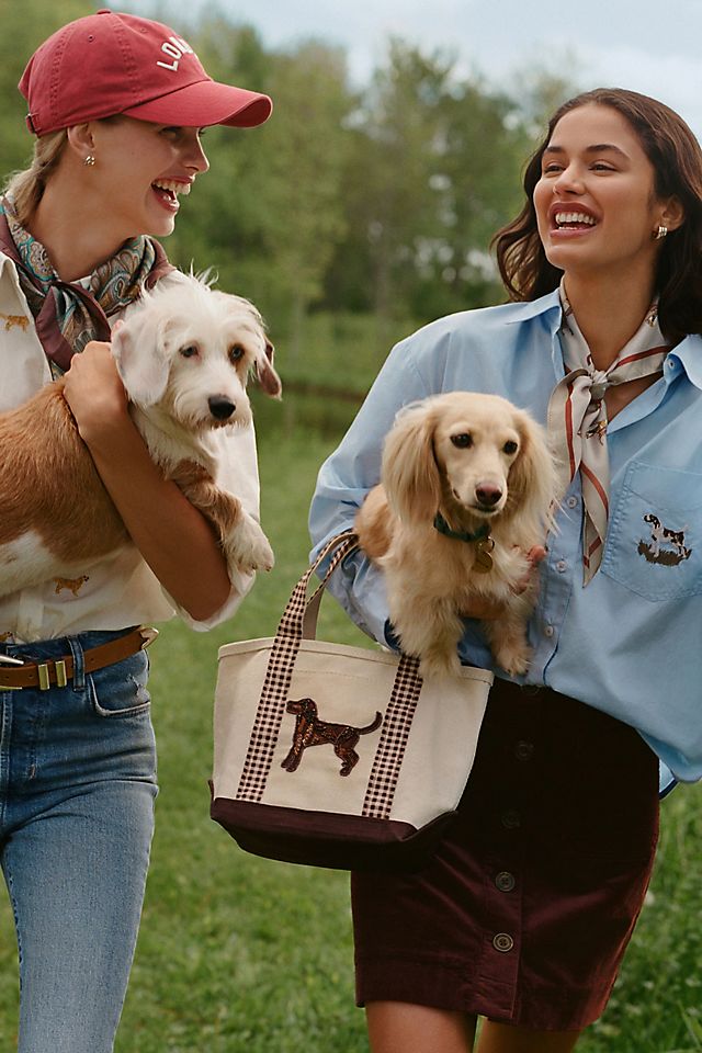 🍂 All Things Fall: Dog Mom & Pup Edition cover photo collage