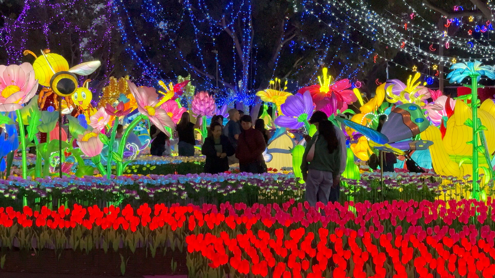 Moments in LA ☀️ cover photo collage