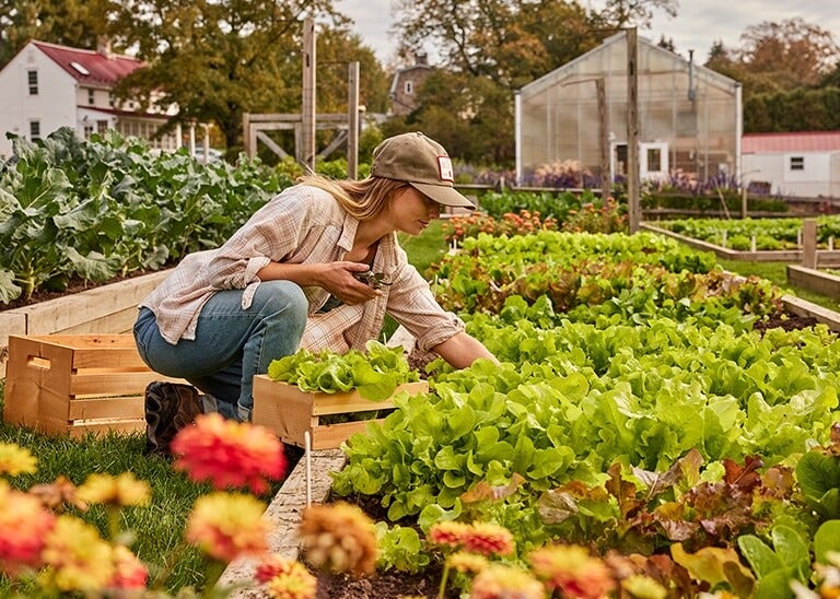 My garden is my Happy Place. Let me Help you create yours. cover photo collage