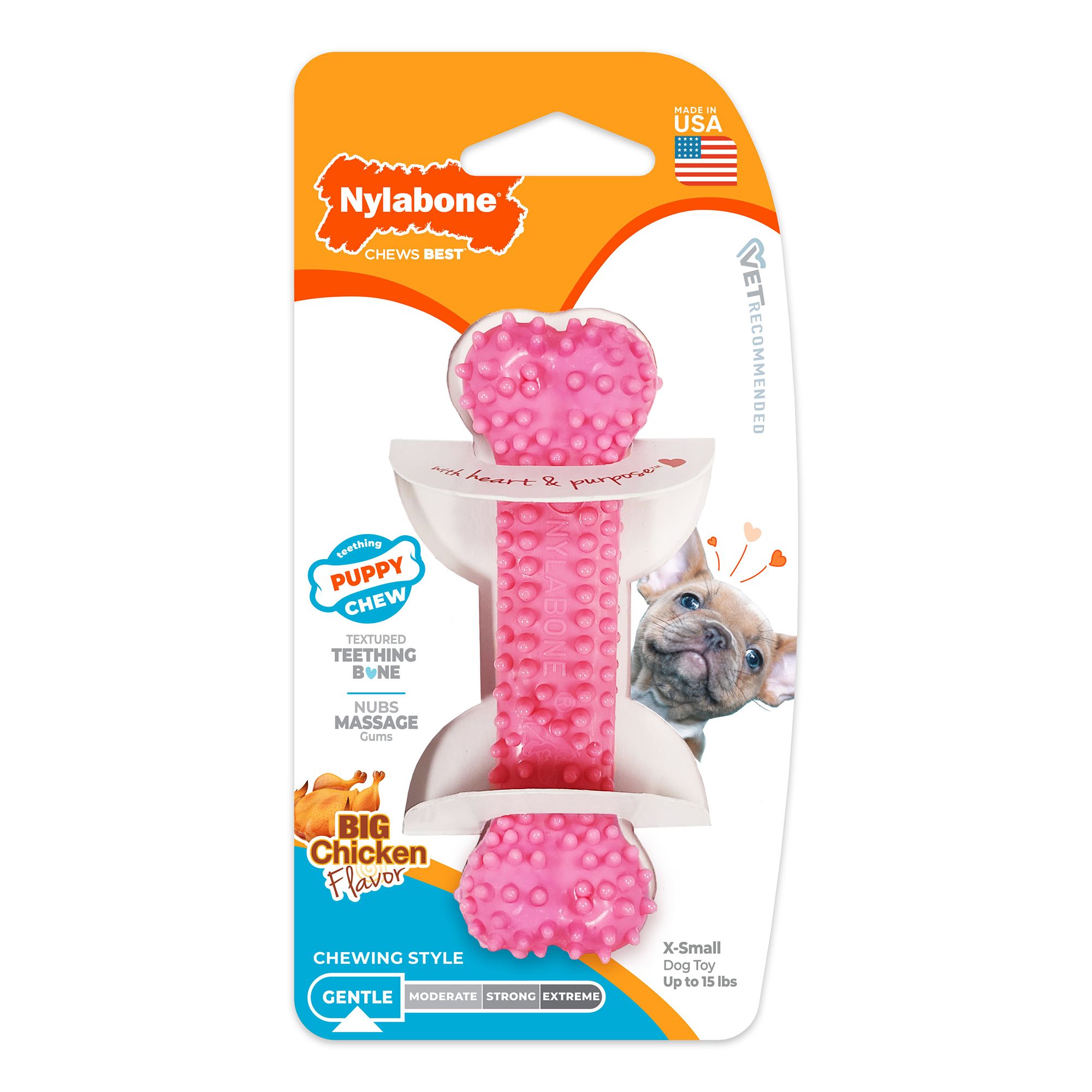 Perfect Toys for new Puppies cover photo collage