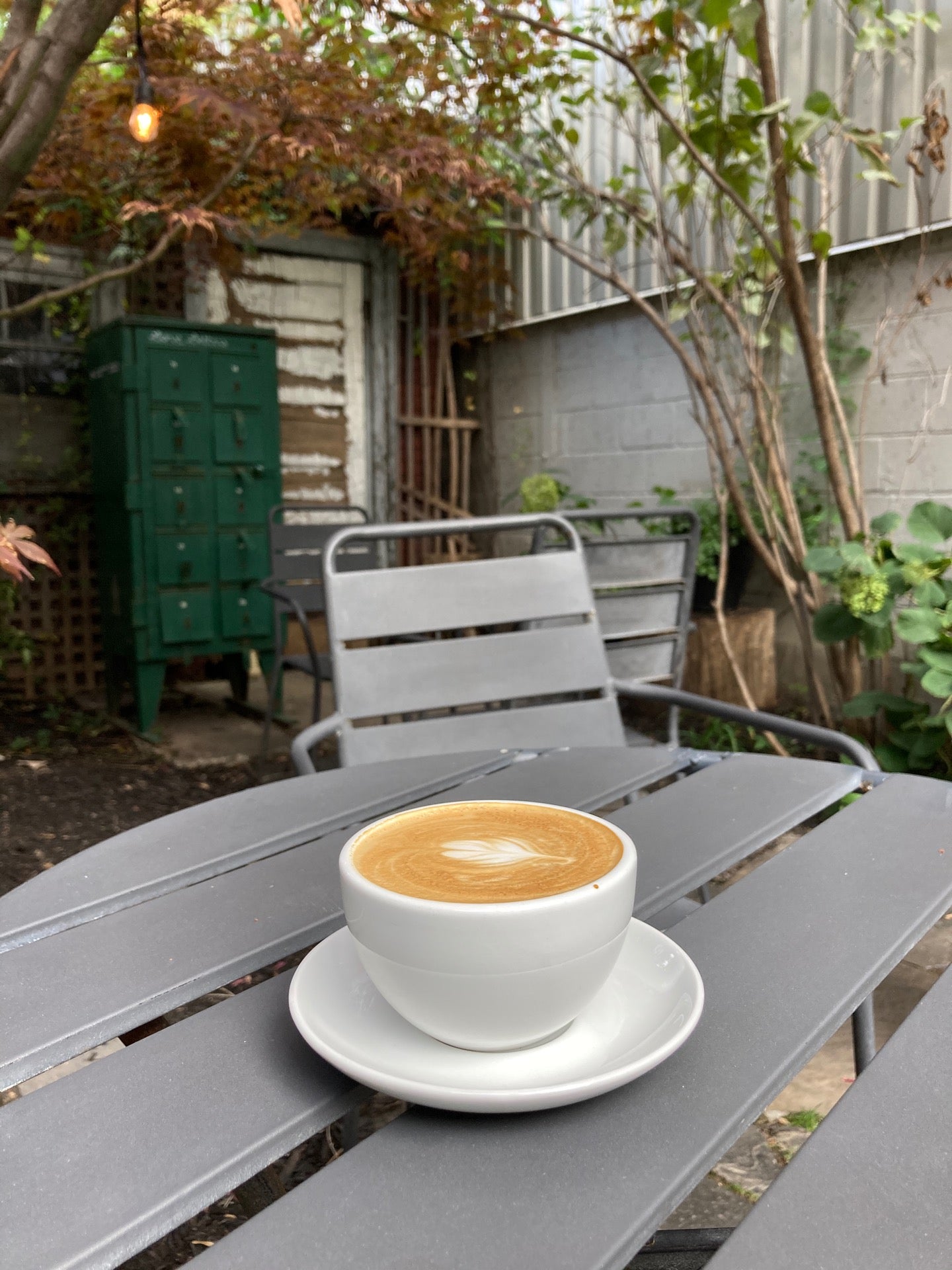 Toronto's Best Coffee Spots ☕️ cover photo collage