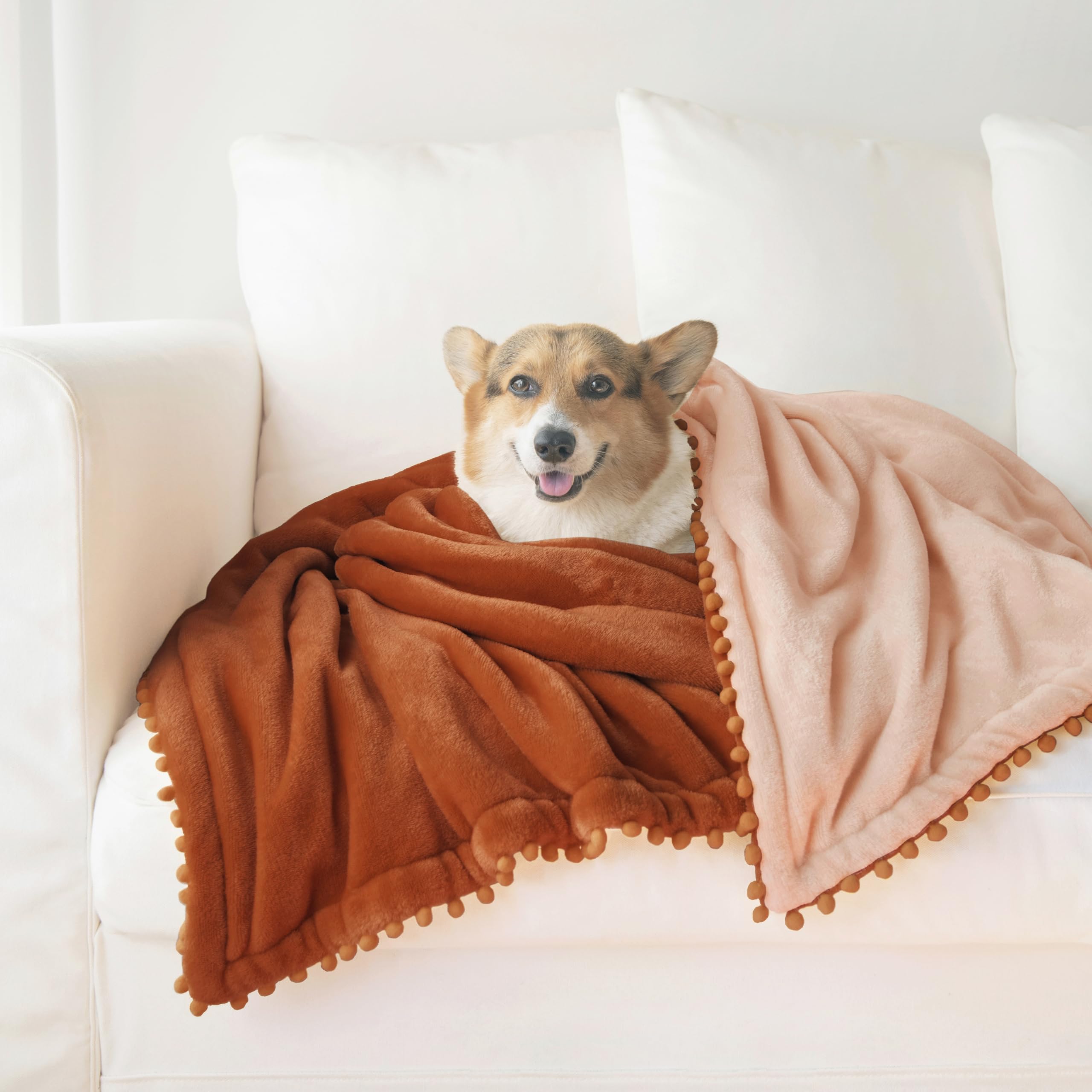 all the cozy autumn vibes cover photo collage