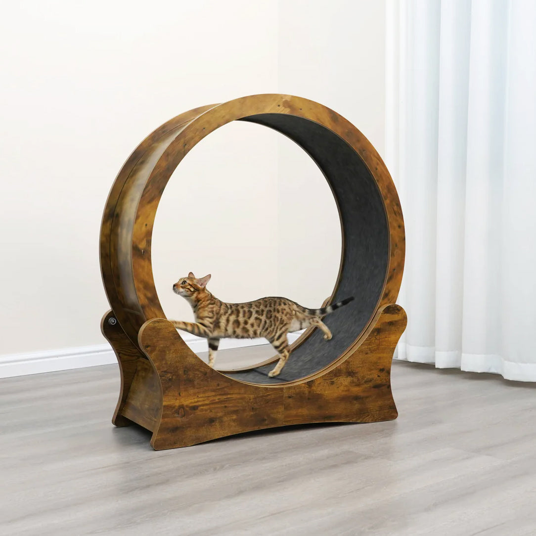 Purrrfect cat item's, let's help our pets live the best they can! cover photo collage