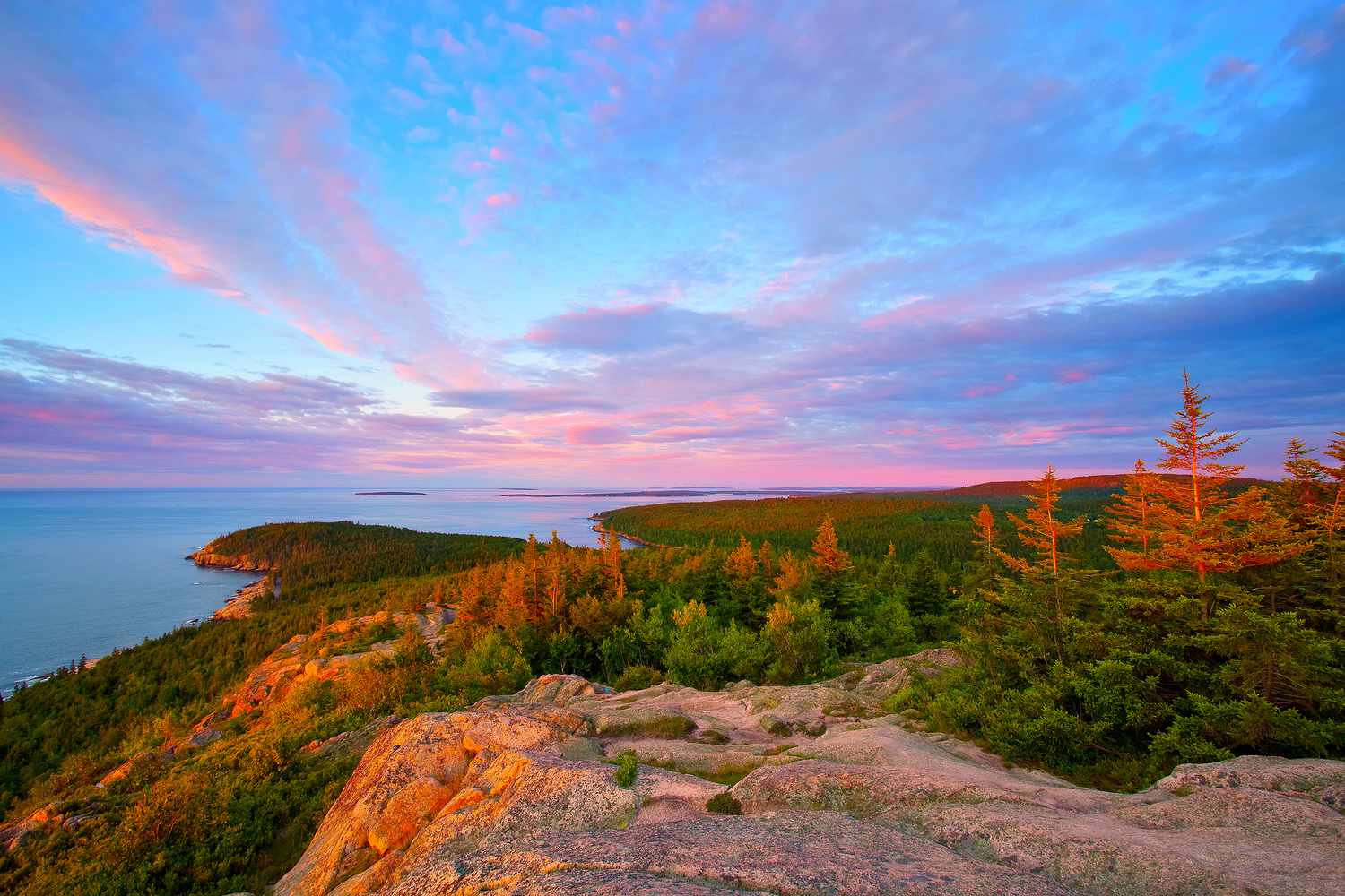 Best in Bar Harbor and Acadia National Park! cover photo collage