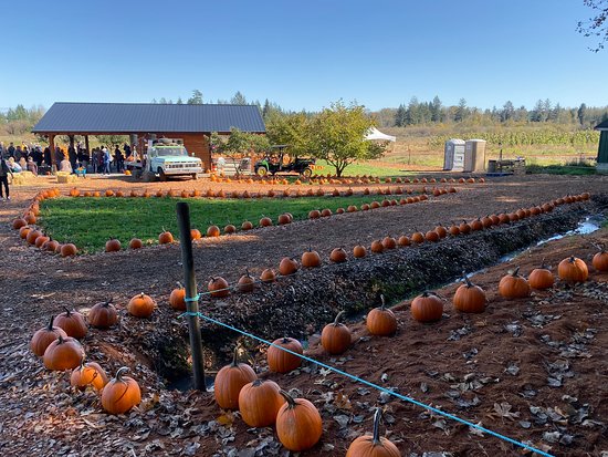 Fall Favourites - A collection of all My Fave Things about this Season cover photo collage