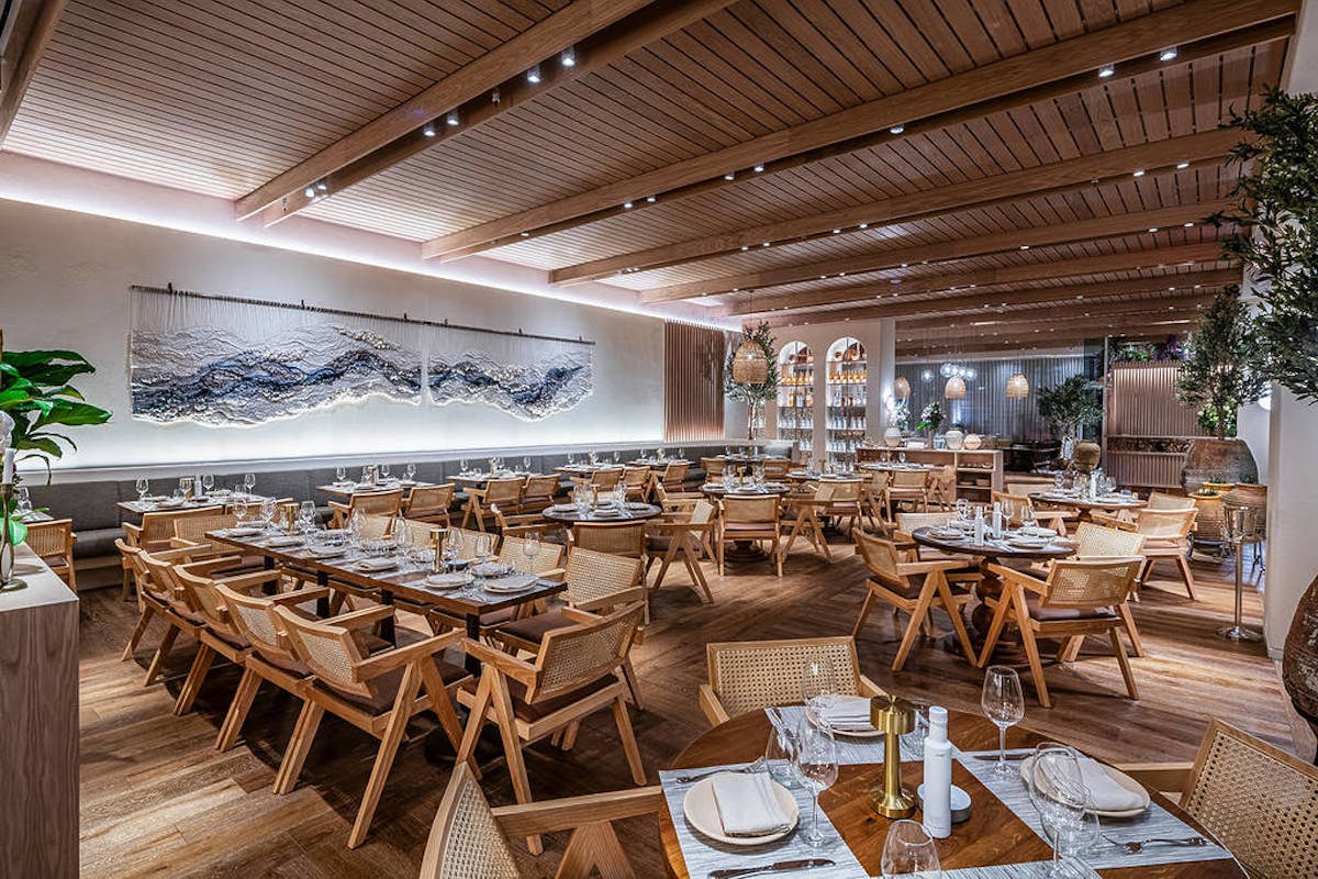 best washington, dc restaurants cover photo collage