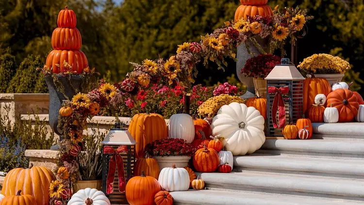 Fall Decor cover photo collage