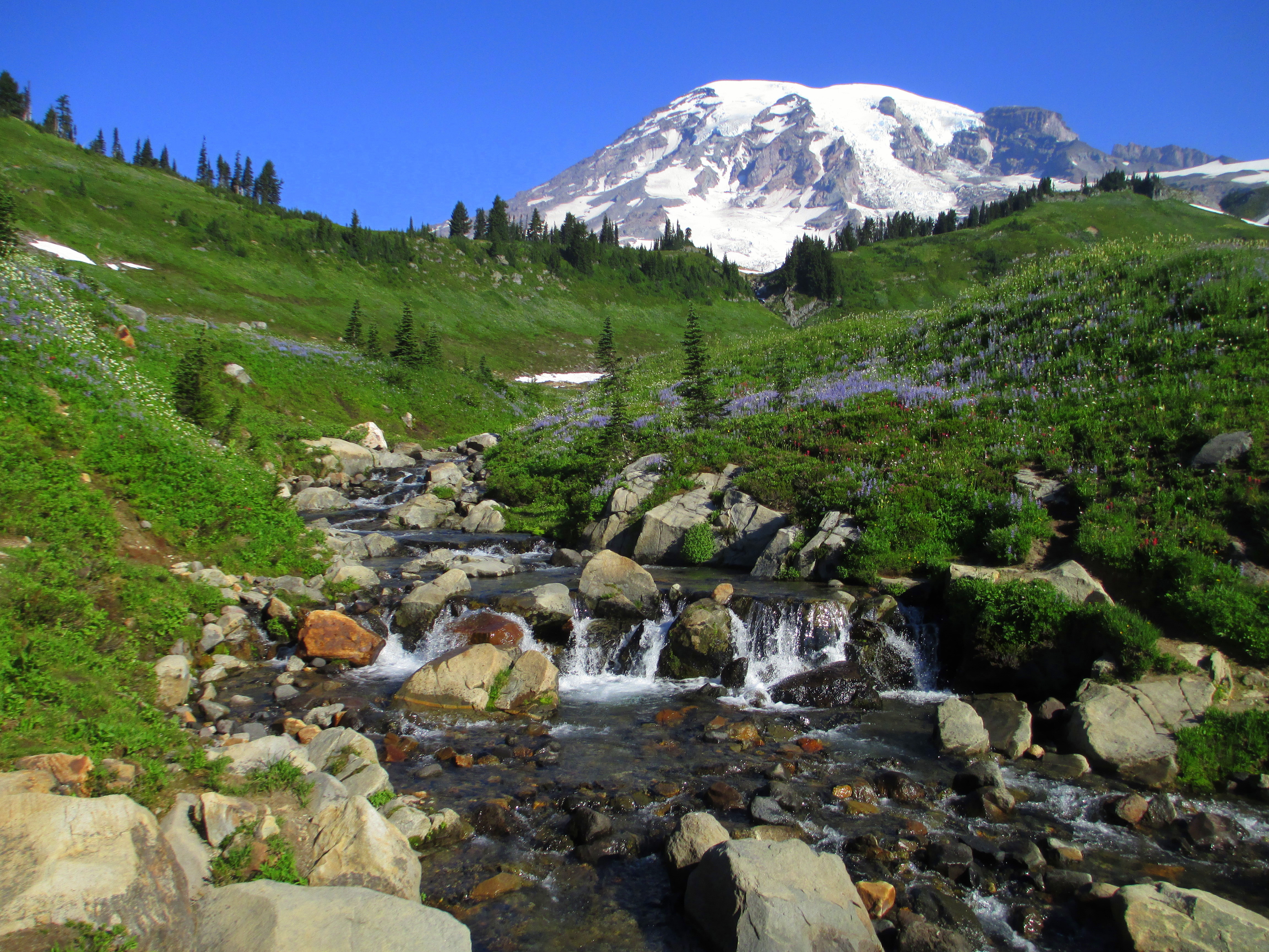 Things to do in Washington cover photo collage