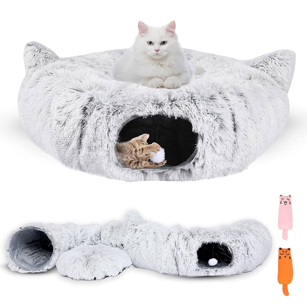 Our family just grew with baby kittens cover photo collage