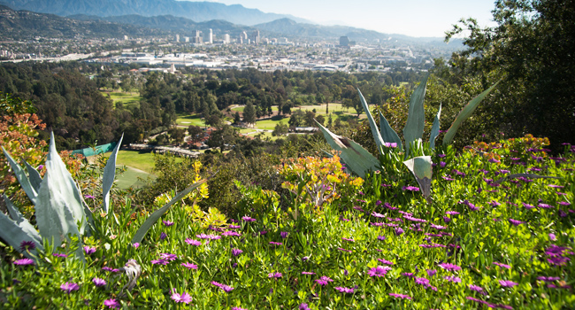 Destination: The City of Angels- Los Angeles, California~ cover photo collage