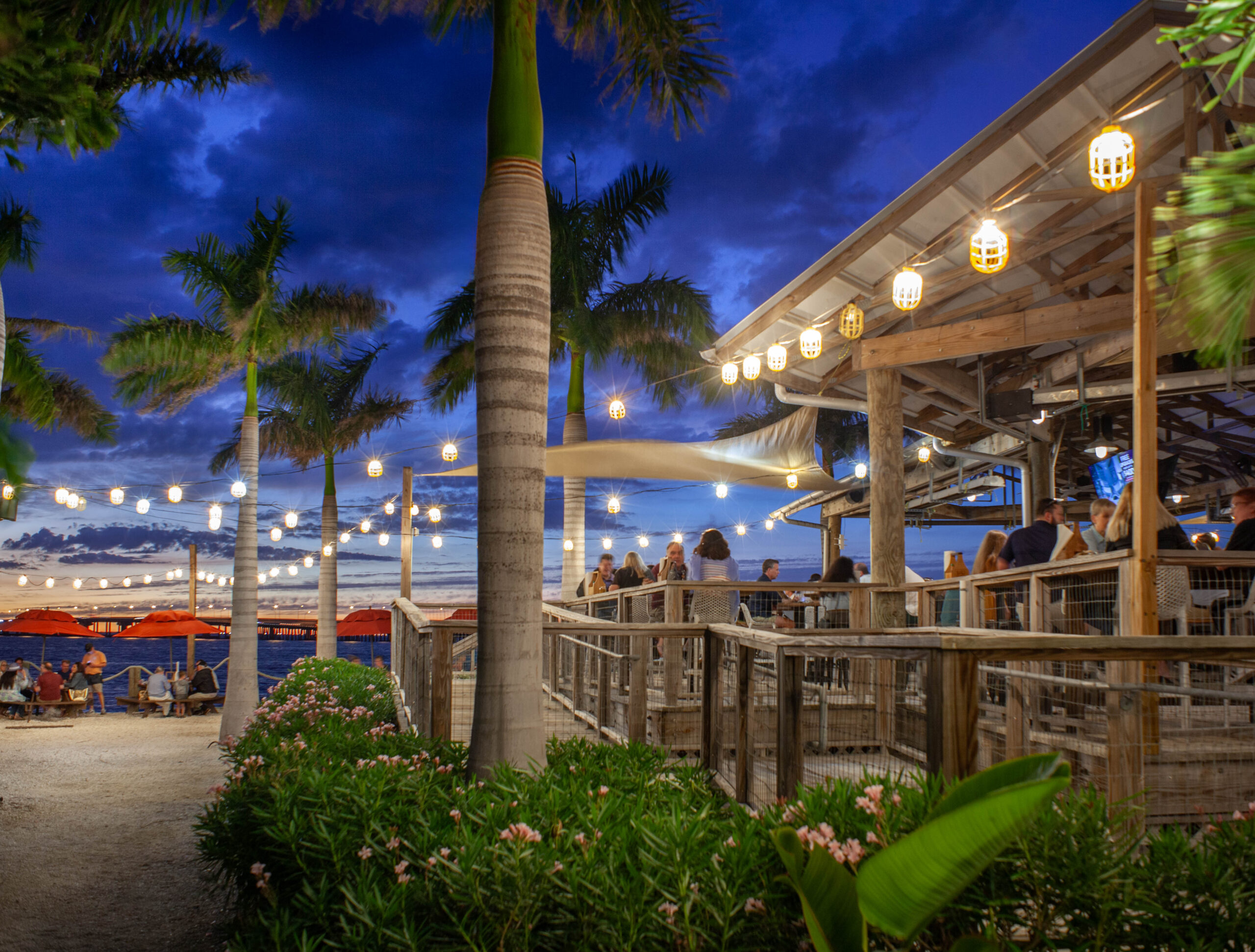 My top Tampa recs cover photo collage