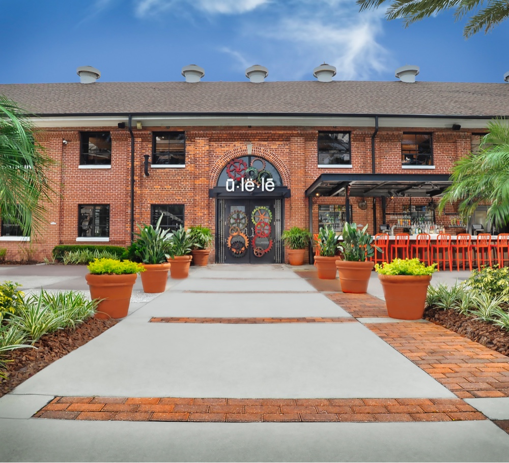 My top Tampa recs cover photo collage