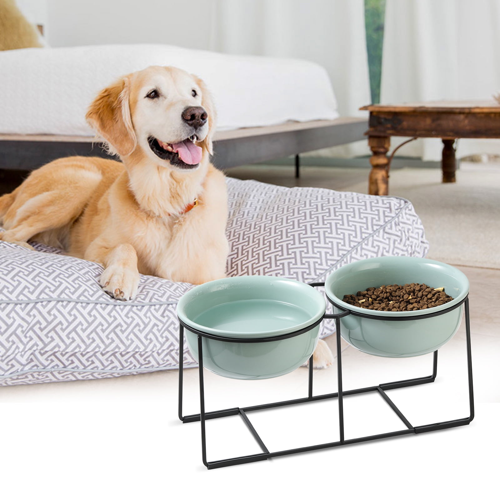 Pet Care Essentials cover photo collage