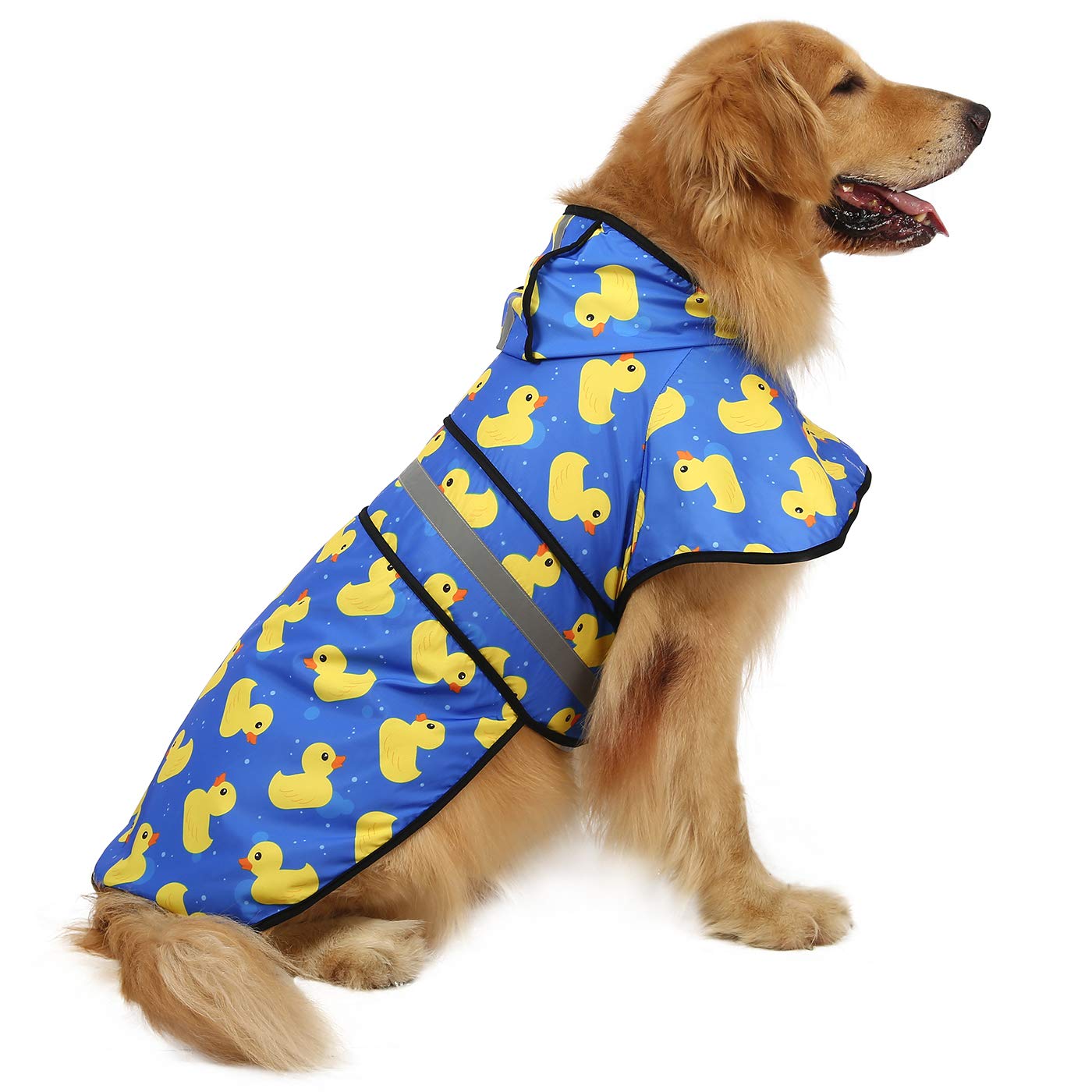 Doggy Essentials From a Golden Retriever Mom cover photo collage