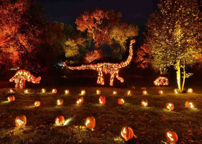 Things to do in the Fall- SoCal cover photo collage