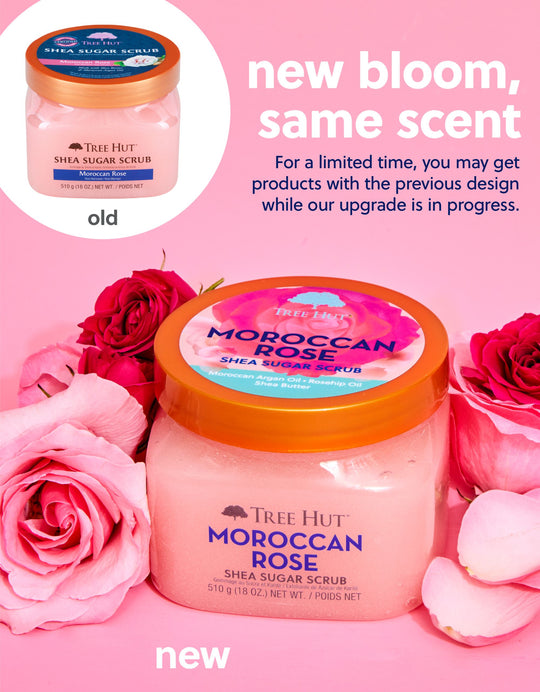 Deserted Island Beauty Recs cover photo collage