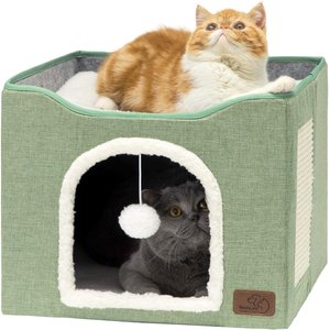 Cat Care Essentials cover photo collage