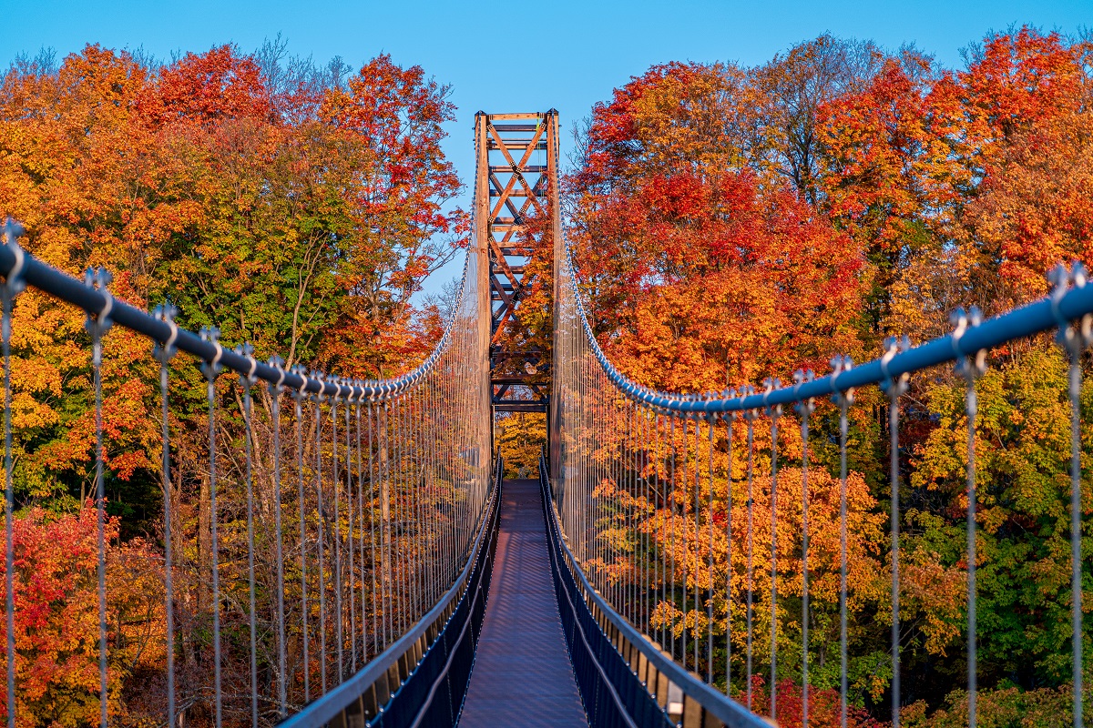 All Things Fall🧣🍁 cover photo collage
