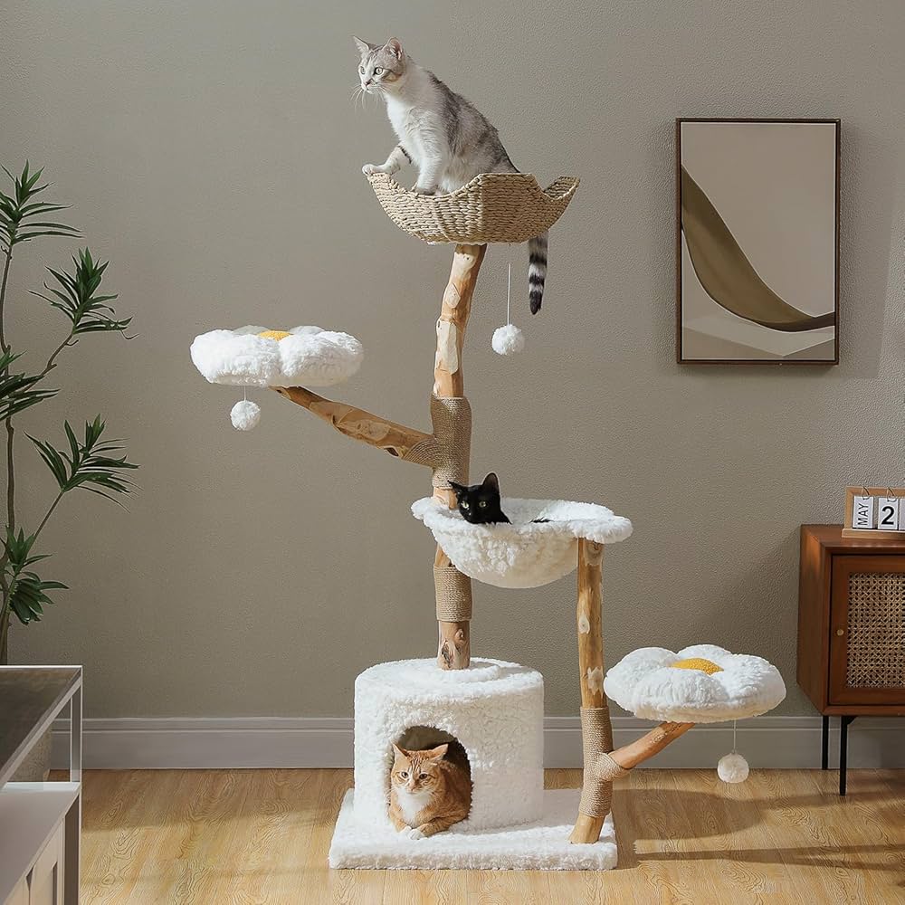 Cat care products; for us cat lovers cover photo collage
