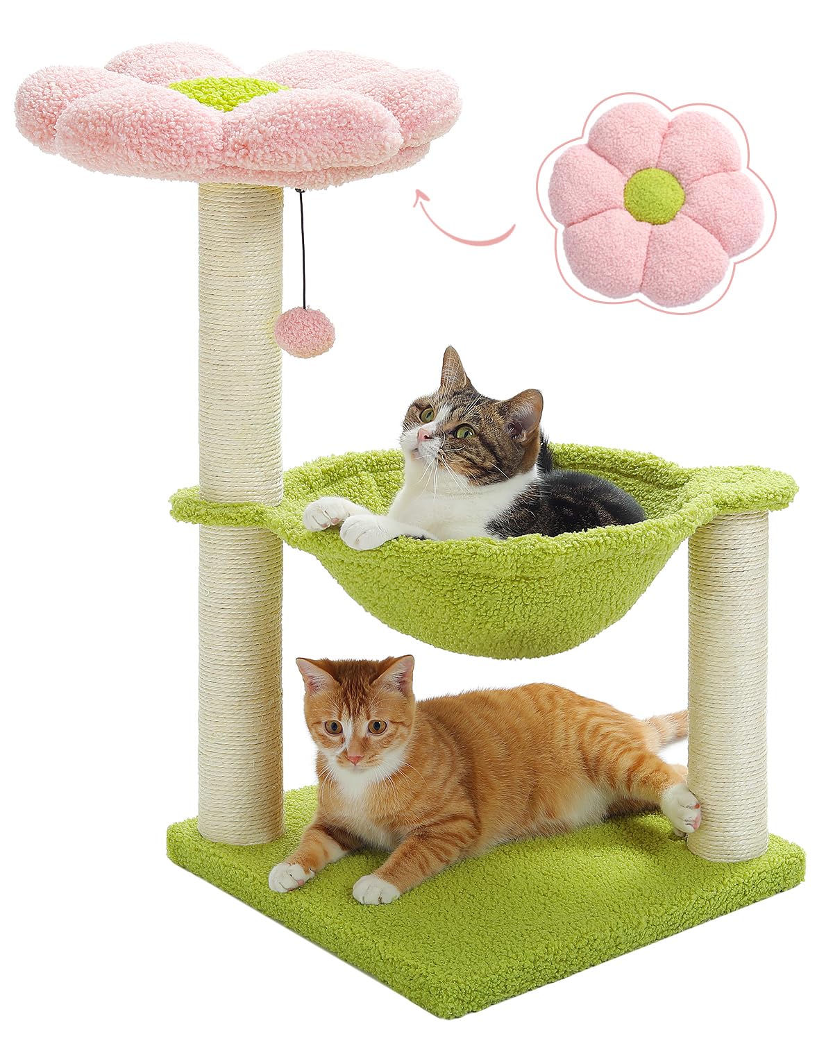 Pet gear needs! cover photo collage