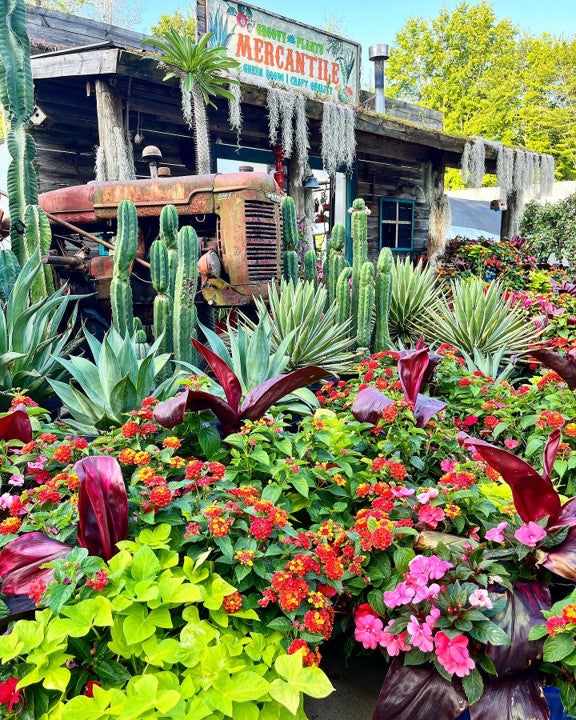 Leaf it to me 🌱✨ cover photo collage